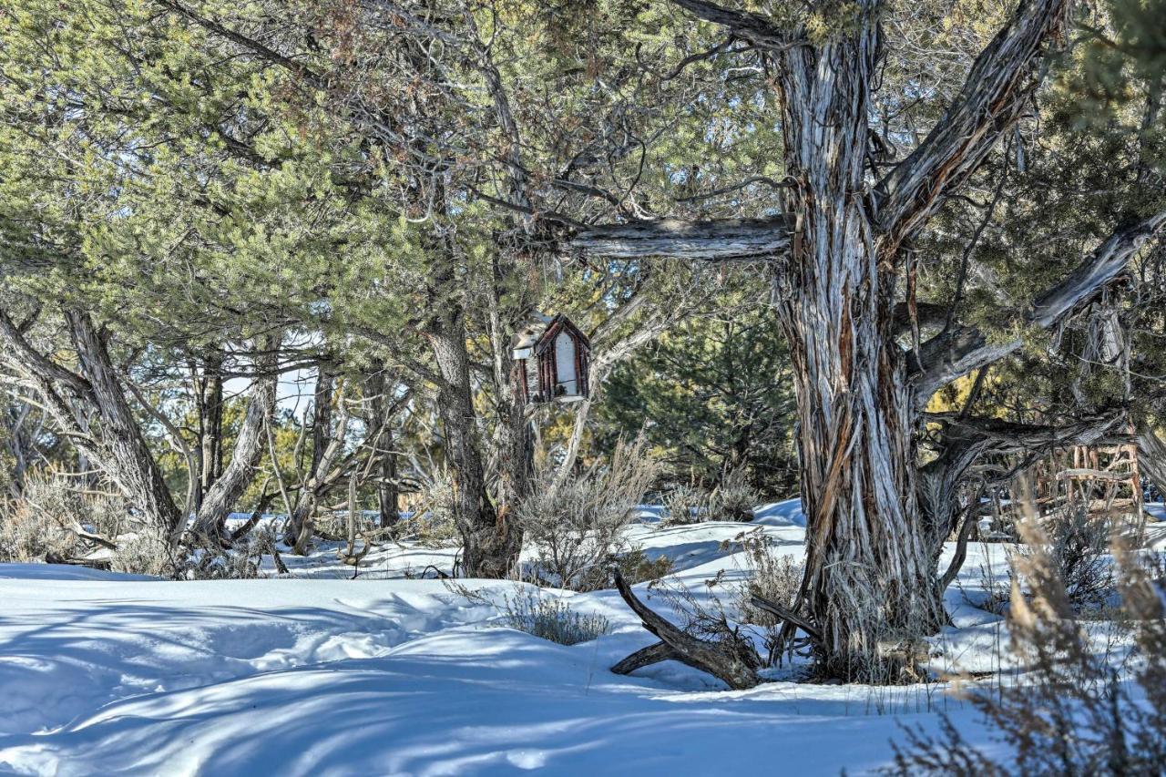 Villa Eagles Landing A Quiet Colorado Mountain Escape Esterno foto